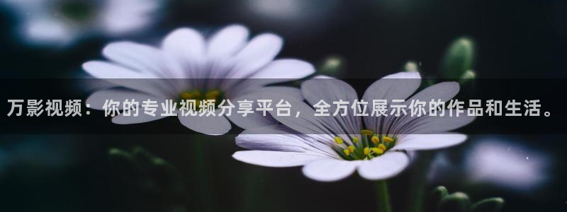 播播电影在线观看：万影视频：你的专业视频分享平台，全方位展示你的作品和生活。