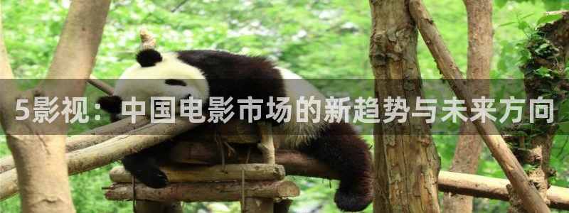 爱我播播影院
