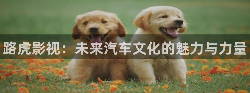 播播影院网址：路虎影视：未来汽车文化的魅力与力量