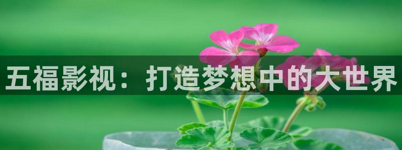神马影院播播影院：五福影视：打造梦想中的大世界